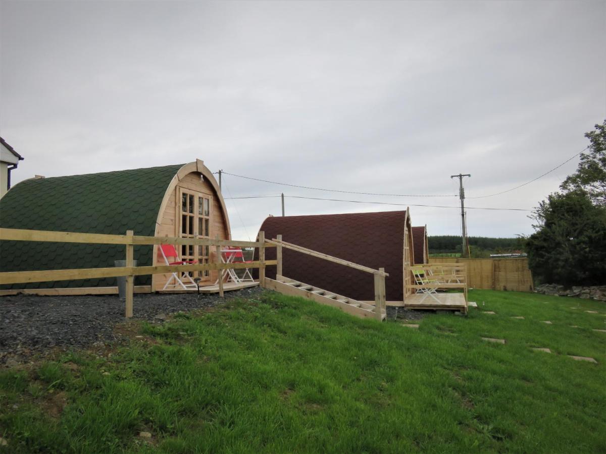 Shannon Estuary Glamping Effernan エクステリア 写真