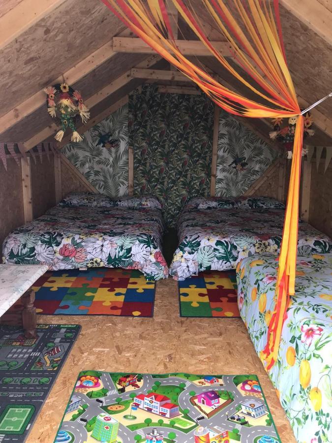 Shannon Estuary Glamping Effernan エクステリア 写真