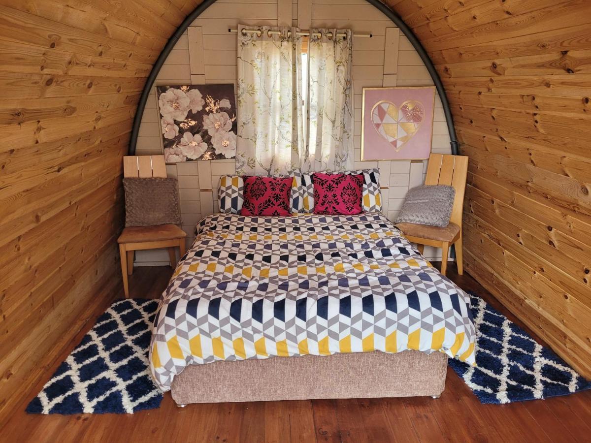 Shannon Estuary Glamping Effernan エクステリア 写真