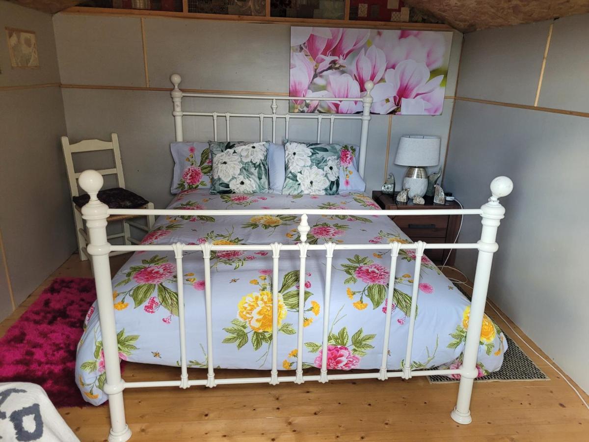 Shannon Estuary Glamping Effernan エクステリア 写真