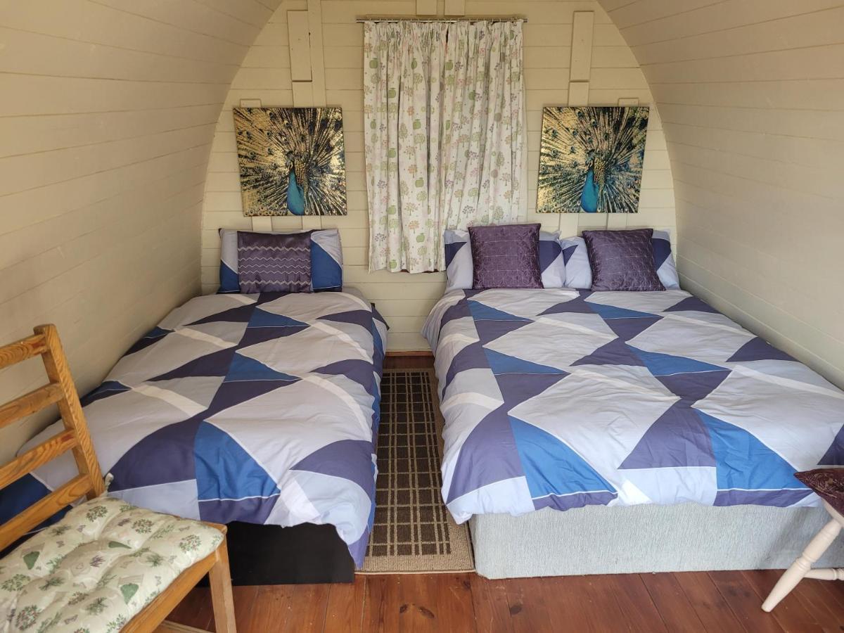 Shannon Estuary Glamping Effernan エクステリア 写真