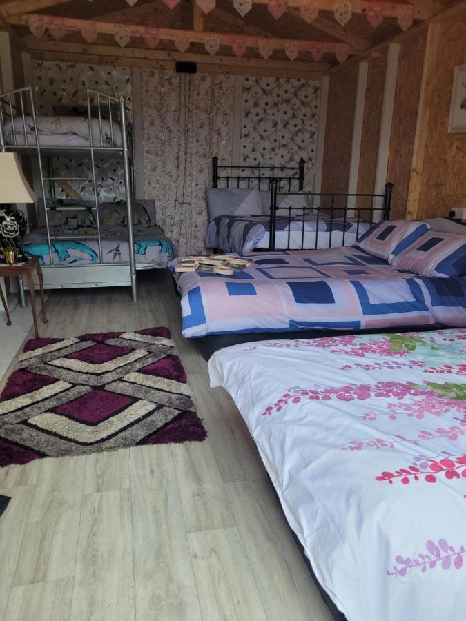 Shannon Estuary Glamping Effernan エクステリア 写真