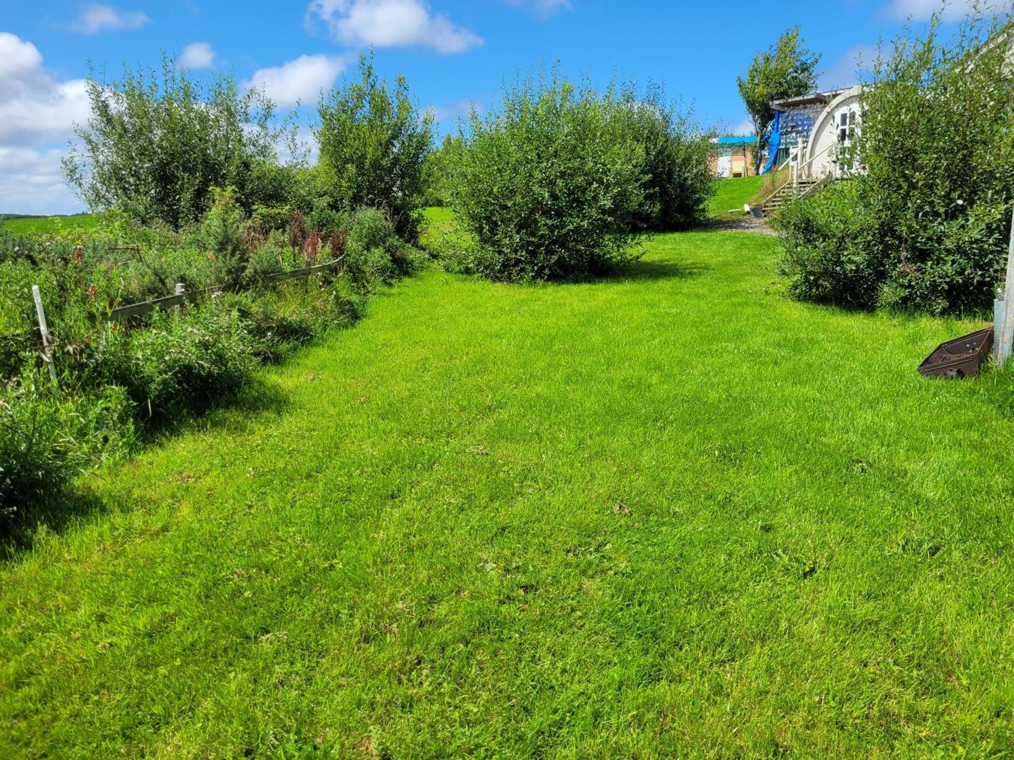 Shannon Estuary Glamping Effernan エクステリア 写真