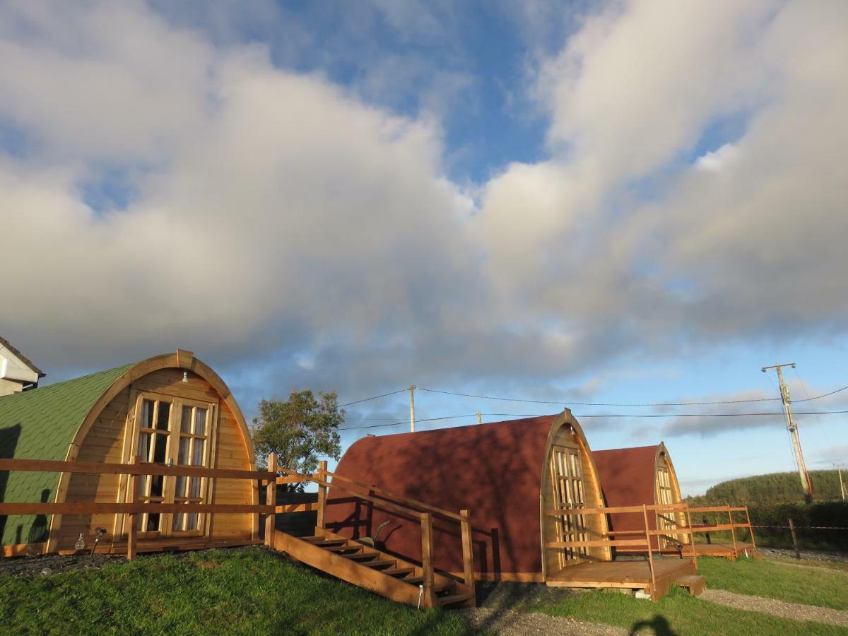 Shannon Estuary Glamping Effernan エクステリア 写真