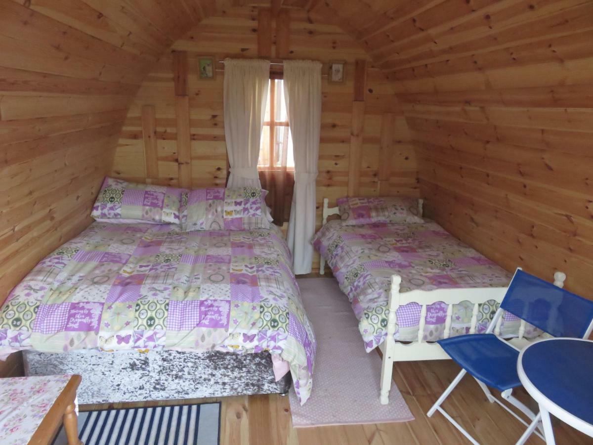 Shannon Estuary Glamping Effernan エクステリア 写真