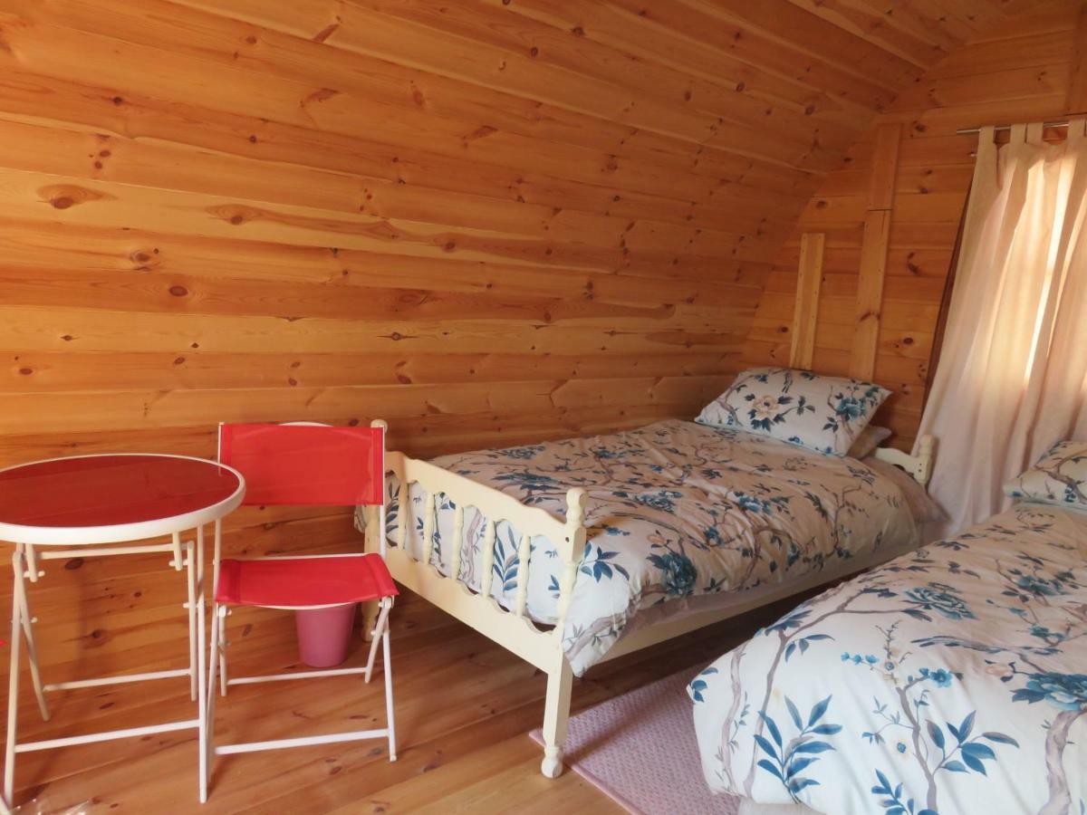 Shannon Estuary Glamping Effernan エクステリア 写真